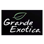 Grand Exotica